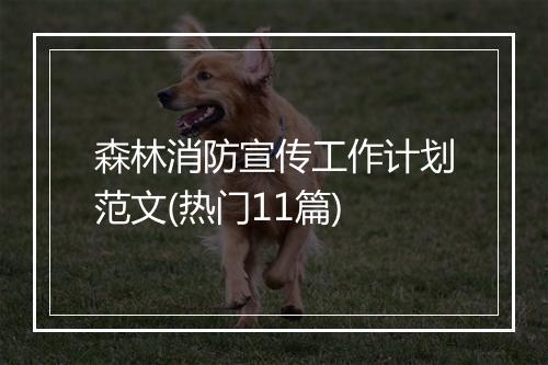 森林消防宣传工作计划范文(热门11篇)