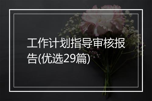 工作计划指导审核报告(优选29篇)