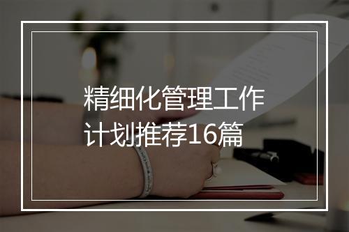 精细化管理工作计划推荐16篇