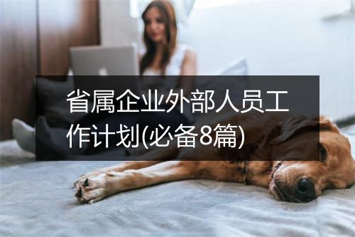 省属企业外部人员工作计划(必备8篇)