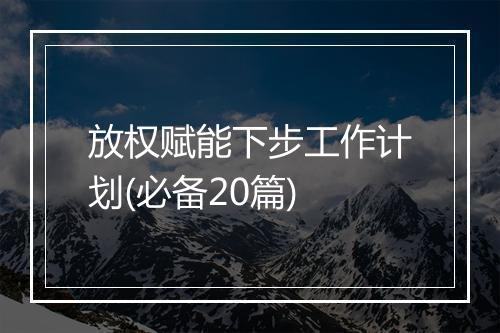 放权赋能下步工作计划(必备20篇)