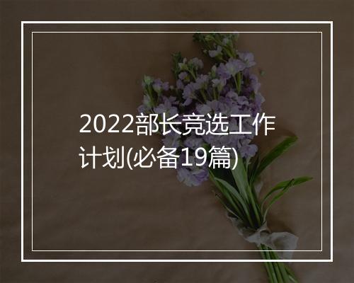 2022部长竞选工作计划(必备19篇)