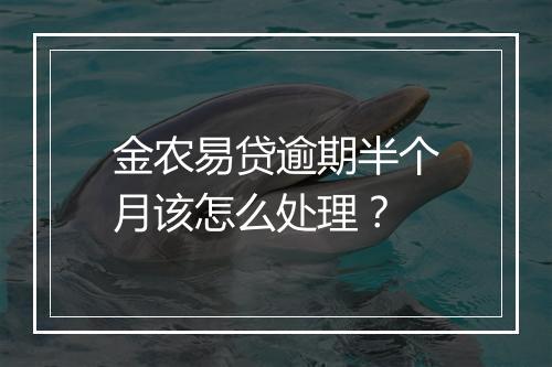 金农易贷逾期半个月该怎么处理？