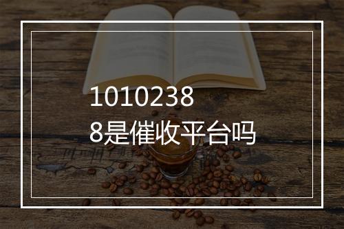 10102388是催收平台吗
