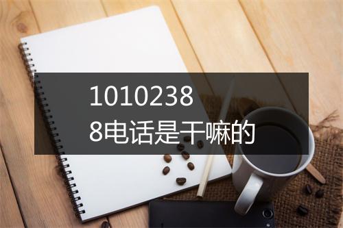10102388电话是干嘛的