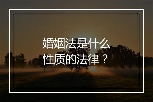 婚姻法是什么性质的法律？