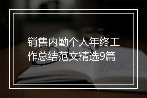 销售内勤个人年终工作总结范文精选9篇