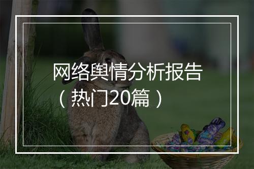 网络舆情分析报告（热门20篇）