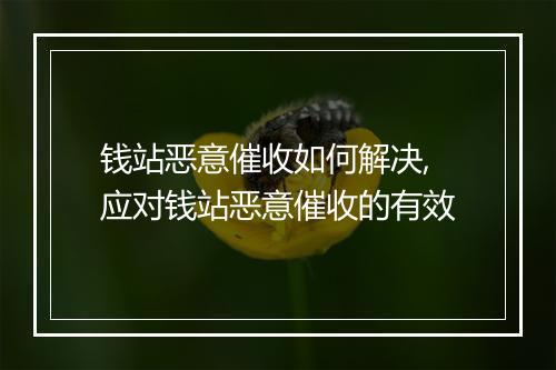 钱站恶意催收如何解决,应对钱站恶意催收的有效