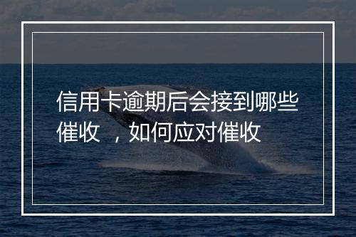 信用卡逾期后会接到哪些催收 ，如何应对催收