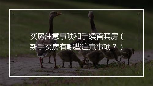 买房注意事项和手续首套房（新手买房有哪些注意事项？）