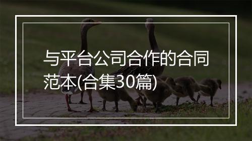 与平台公司合作的合同范本(合集30篇)