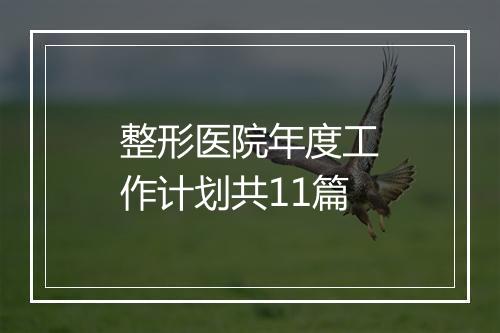 整形医院年度工作计划共11篇