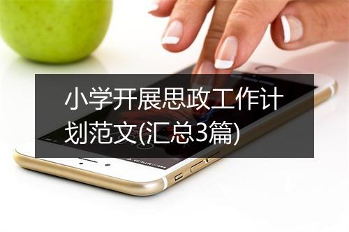 小学开展思政工作计划范文(汇总3篇)