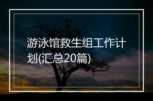 游泳馆救生组工作计划(汇总20篇)