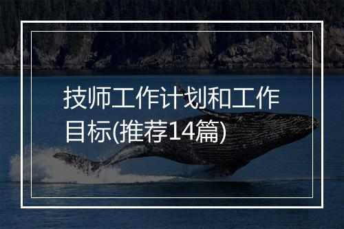 技师工作计划和工作目标(推荐14篇)