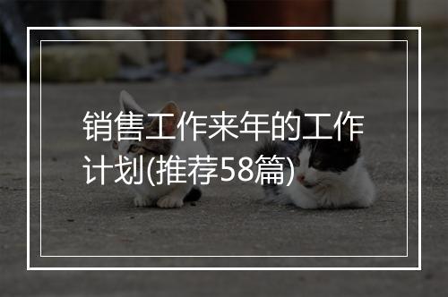 销售工作来年的工作计划(推荐58篇)