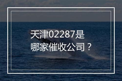 天津02287是哪家催收公司？