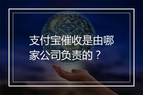 支付宝催收是由哪家公司负责的？