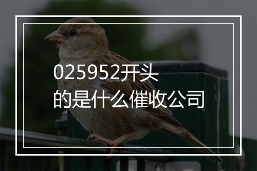 025952开头的是什么催收公司