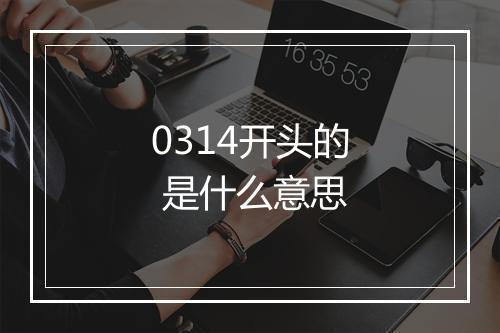 0314开头的 是什么意思