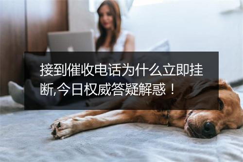 接到催收电话为什么立即挂断,今日权威答疑解惑！