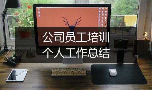 公司员工培训个人工作总结