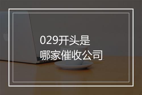 029开头是哪家催收公司