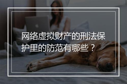 网络虚拟财产的刑法保护里的防范有哪些？