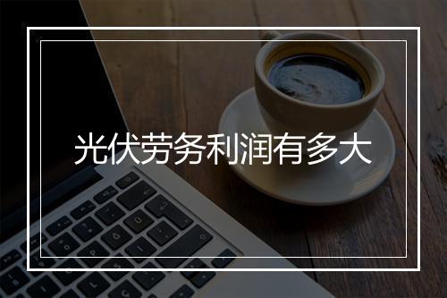 光伏劳务利润有多大