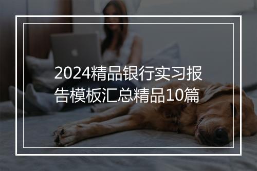 2024精品银行实习报告模板汇总精品10篇