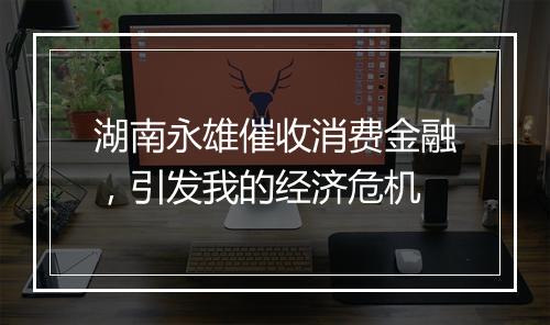 湖南永雄催收消费金融，引发我的经济危机