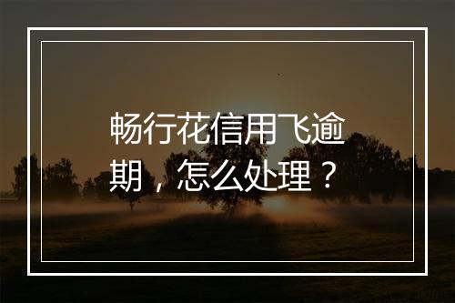 畅行花信用飞逾期，怎么处理？