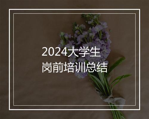 2024大学生岗前培训总结