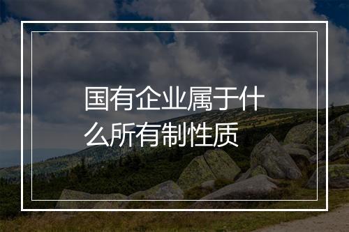 国有企业属于什么所有制性质