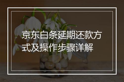 京东白条延期还款方式及操作步骤详解