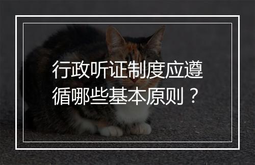 行政听证制度应遵循哪些基本原则？