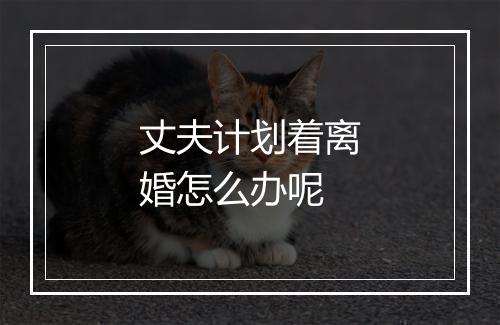 丈夫计划着离婚怎么办呢