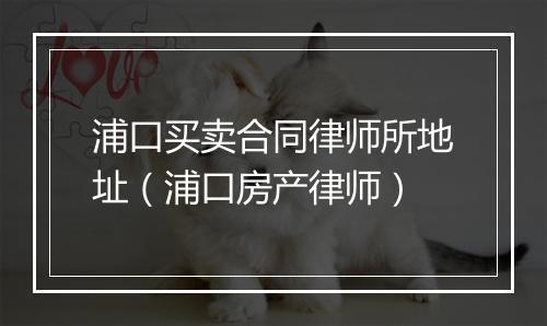 浦口买卖合同律师所地址（浦口房产律师）