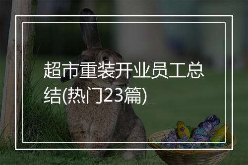 超市重装开业员工总结(热门23篇)