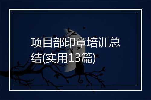 项目部印章培训总结(实用13篇)