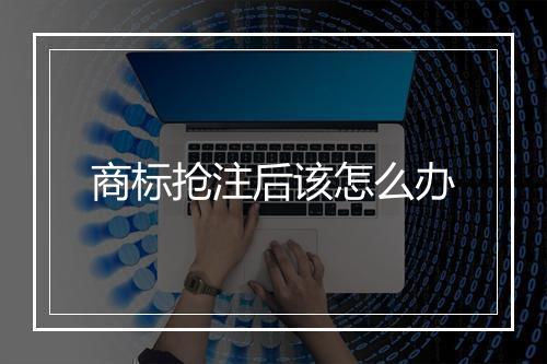 商标抢注后该怎么办