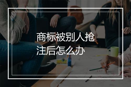 商标被别人抢注后怎么办