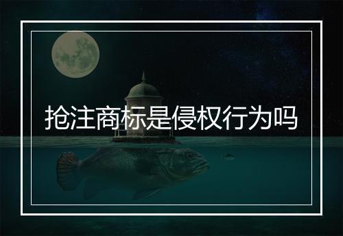 抢注商标是侵权行为吗