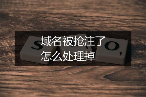 域名被抢注了怎么处理掉