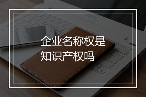 企业名称权是知识产权吗