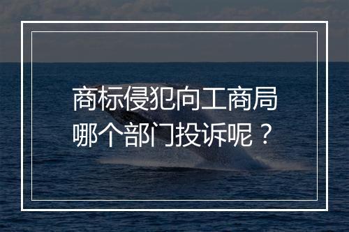 商标侵犯向工商局哪个部门投诉呢？