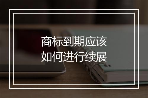 商标到期应该如何进行续展