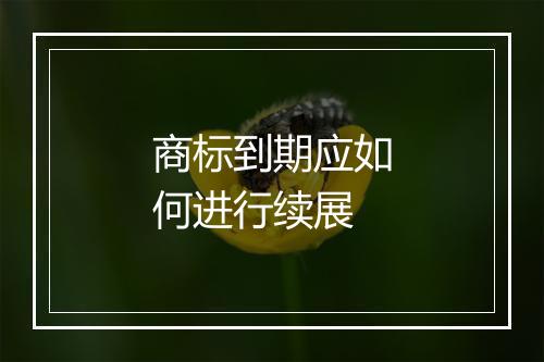 商标到期应如何进行续展