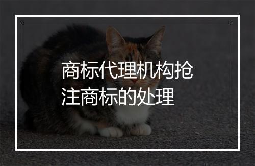 商标代理机构抢注商标的处理